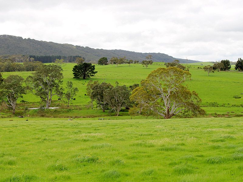 53-54 Sawpit Road, LOWER INMAN VALLEY SA 5211, Image 0