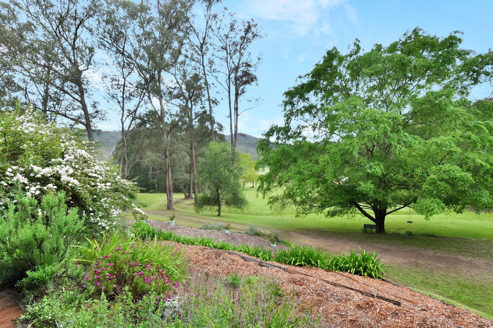 188 Milsons Arm Rd, Wollombi NSW 2325, Image 2