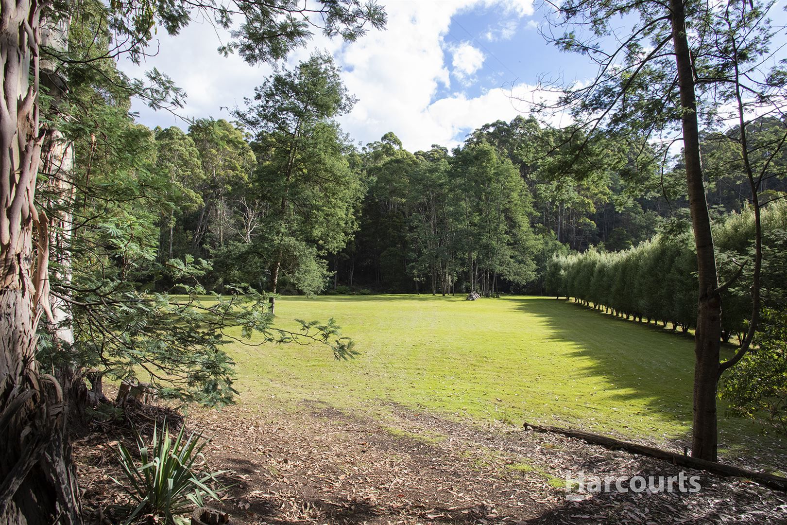 Lot 1 Bienefelts Road, Turners Beach TAS 7315, Image 2