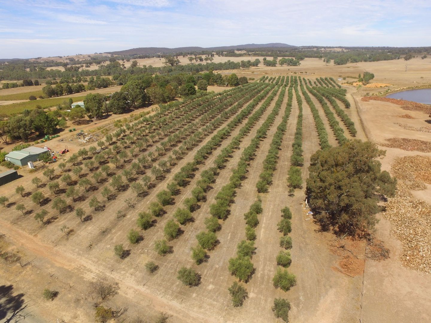 Heathcote VIC 3523, Image 1