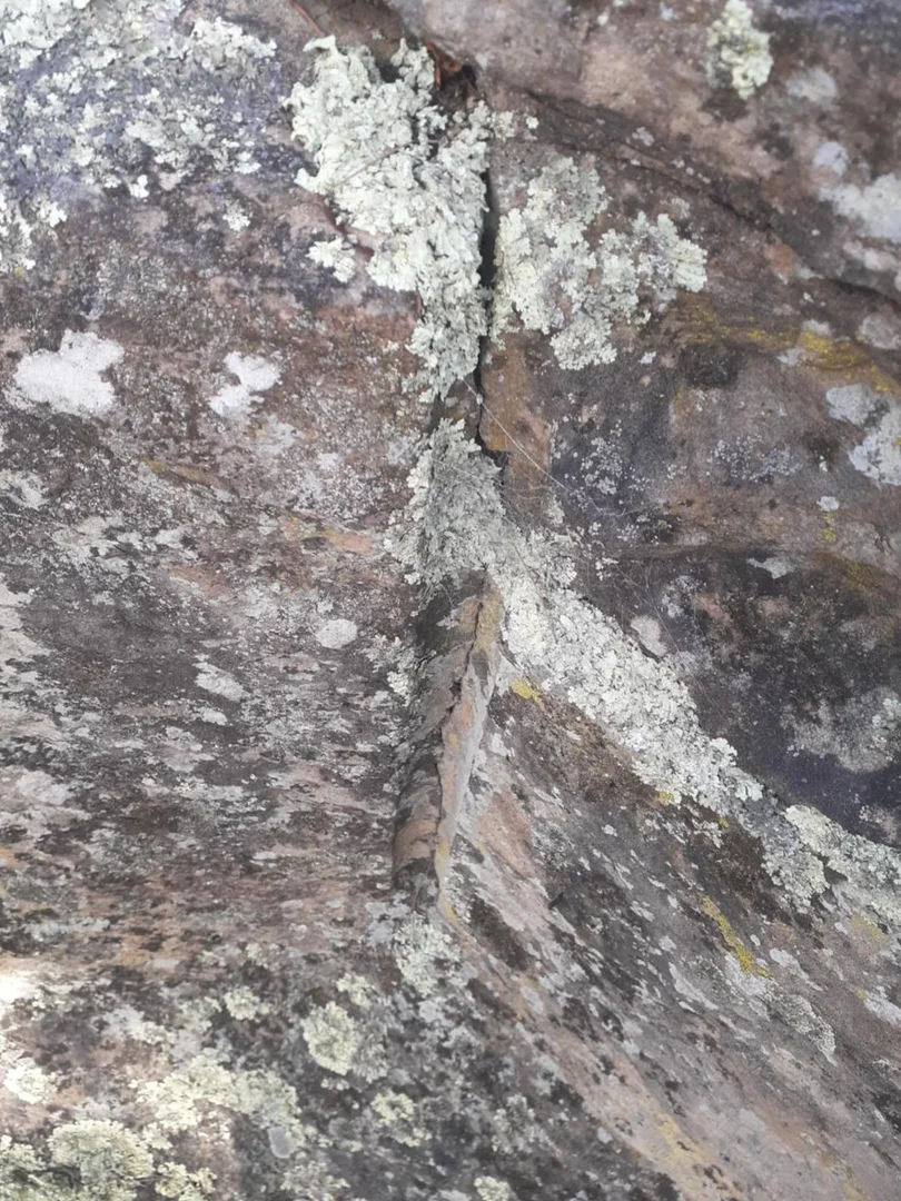 Image 13