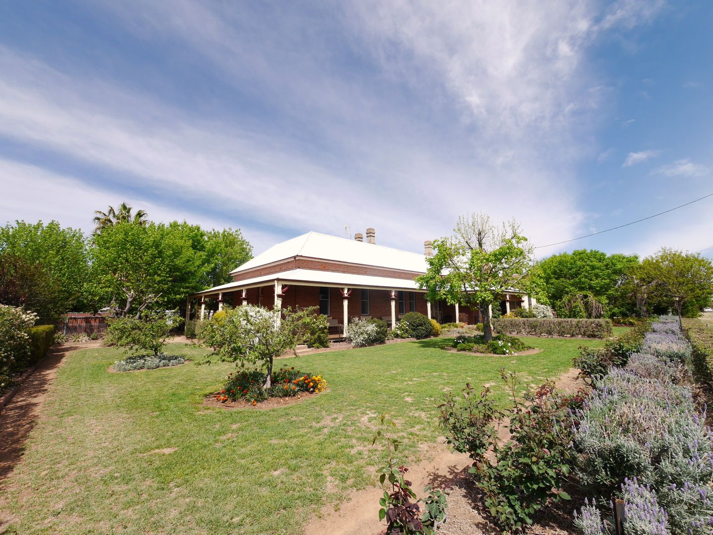 42 Forbes Street, Gooloogong NSW 2805, Image 1
