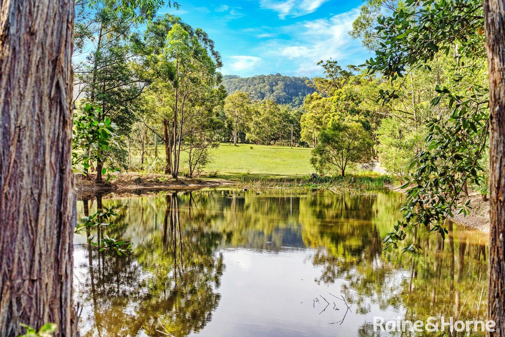 145 Jacks Corner Road, Kangaroo Valley NSW 2577, Image 2