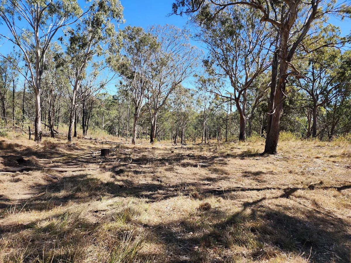 Image 12
