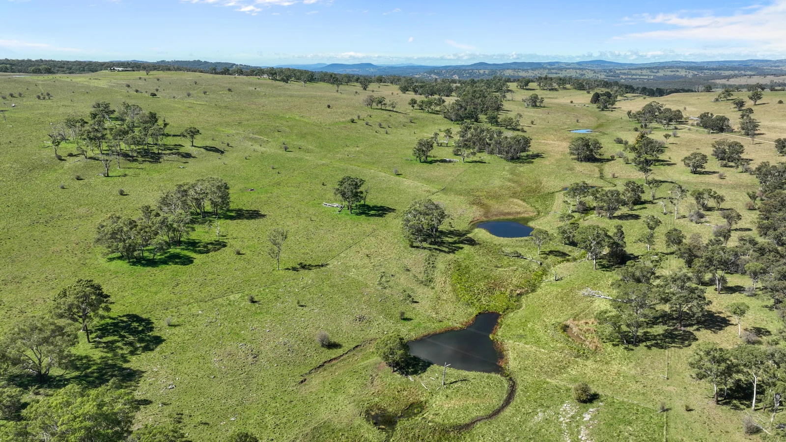 Additional image 8 of "Wyanga" 195 Gills Road, Uralla NSW 2358