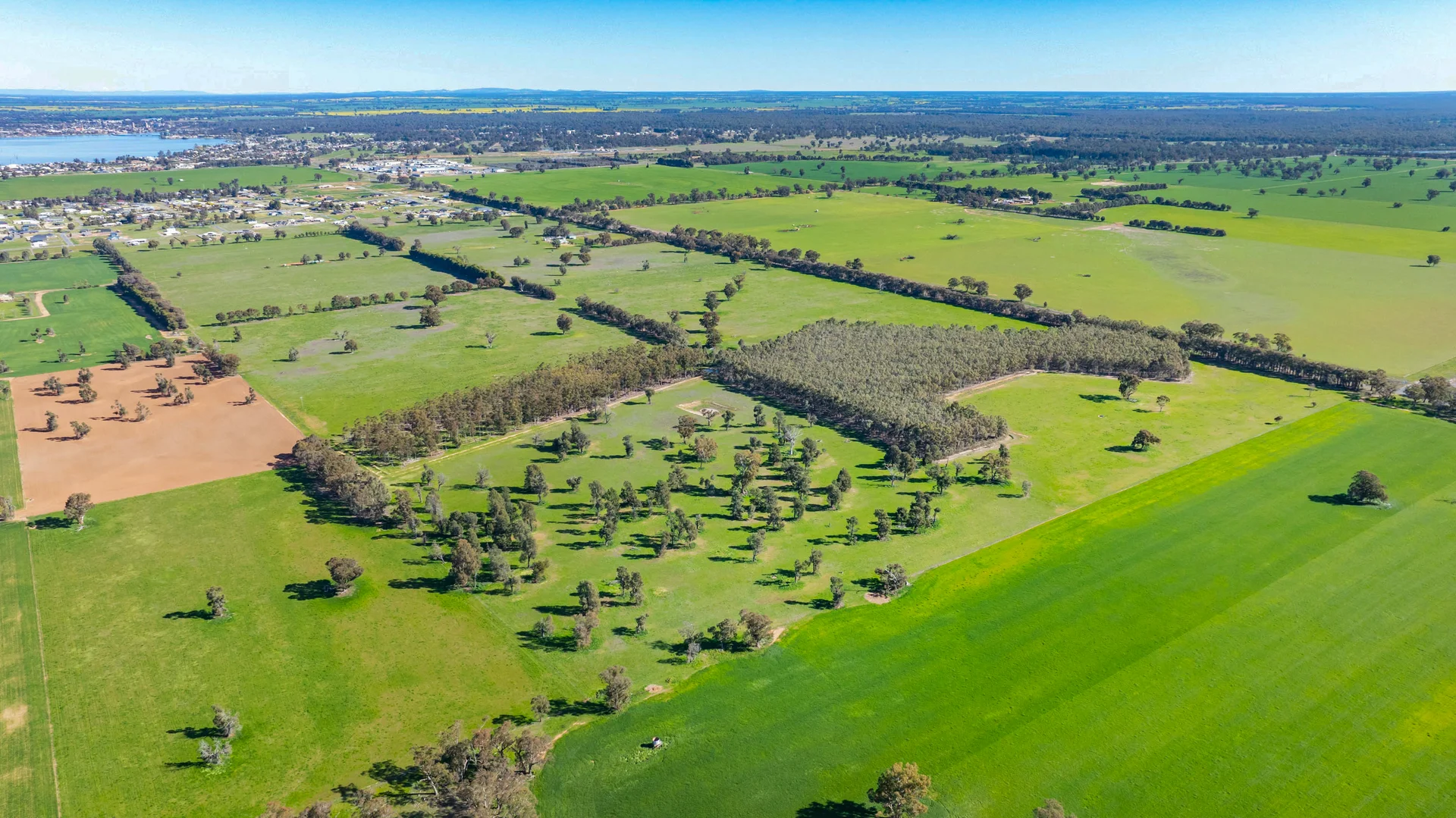 Additional image 4 of 290 Savernake Road, Mulwala NSW 2647