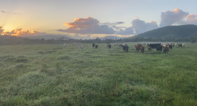 Mount Ossa QLD 4741, Image 0