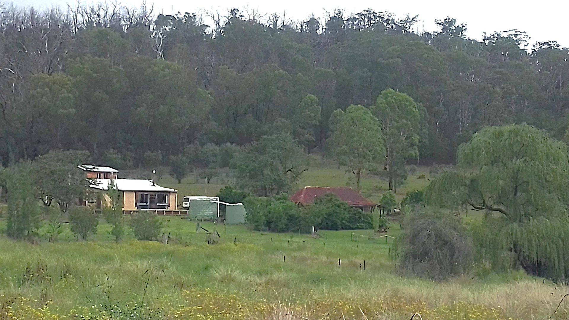 Additional image 5 of 1196 Nullo Mountain Rd, Nullo Mountain NSW 2849
