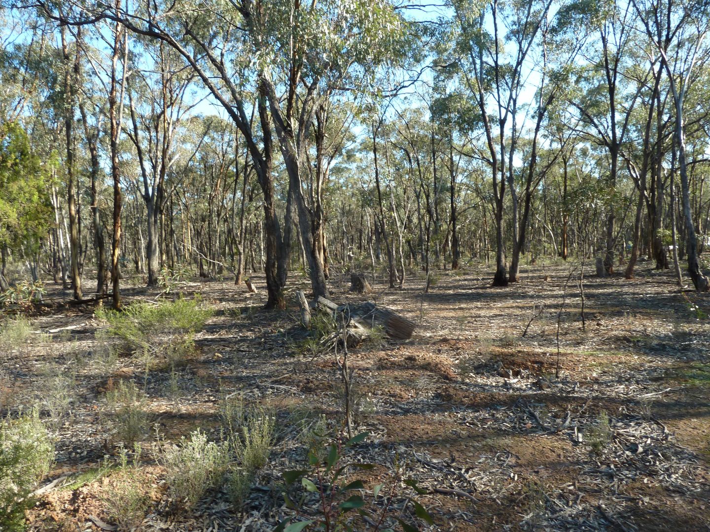 Lot 27 Wallaby Way, Wedderburn VIC 3518, Image 1