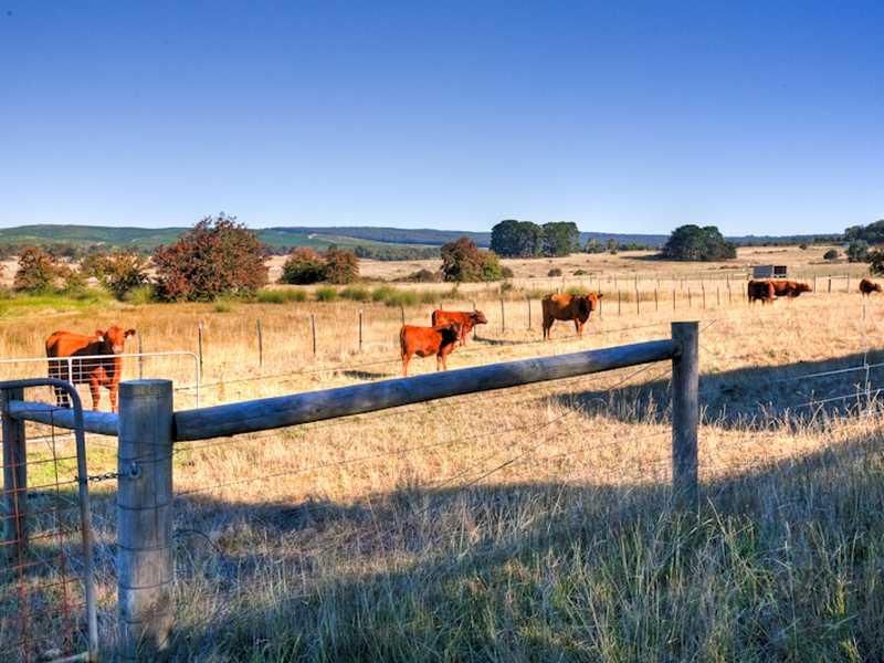 Lot 2 (2020) Glenelg Highway, SCARSDALE VIC 3351, Image 2