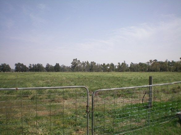 Picture of 25 River Drive, NARROMINE NSW 2821