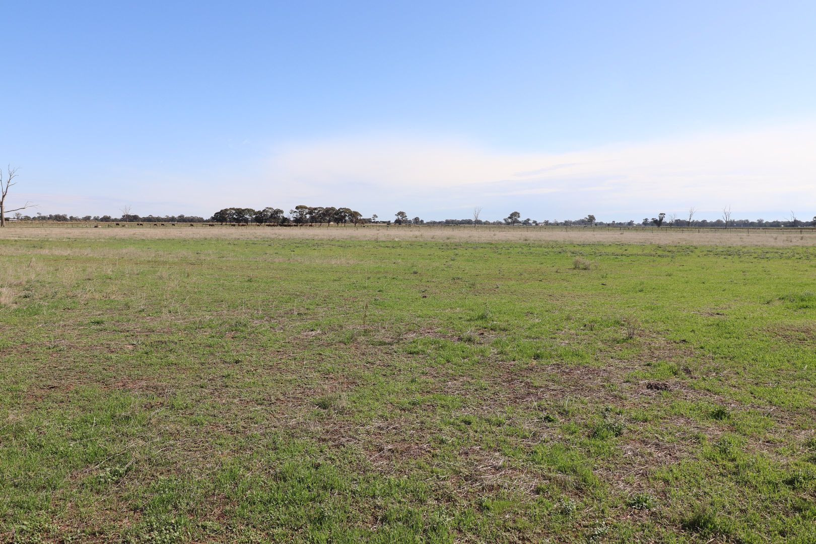 Lot 2/570 Stewart Road, Tatura VIC 3616, Image 1