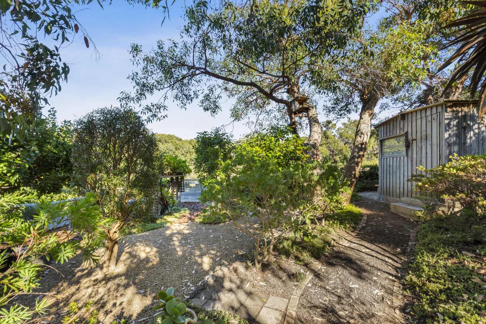 Additional image 18 of 38 O'Donohue Road, Anglesea VIC 3230