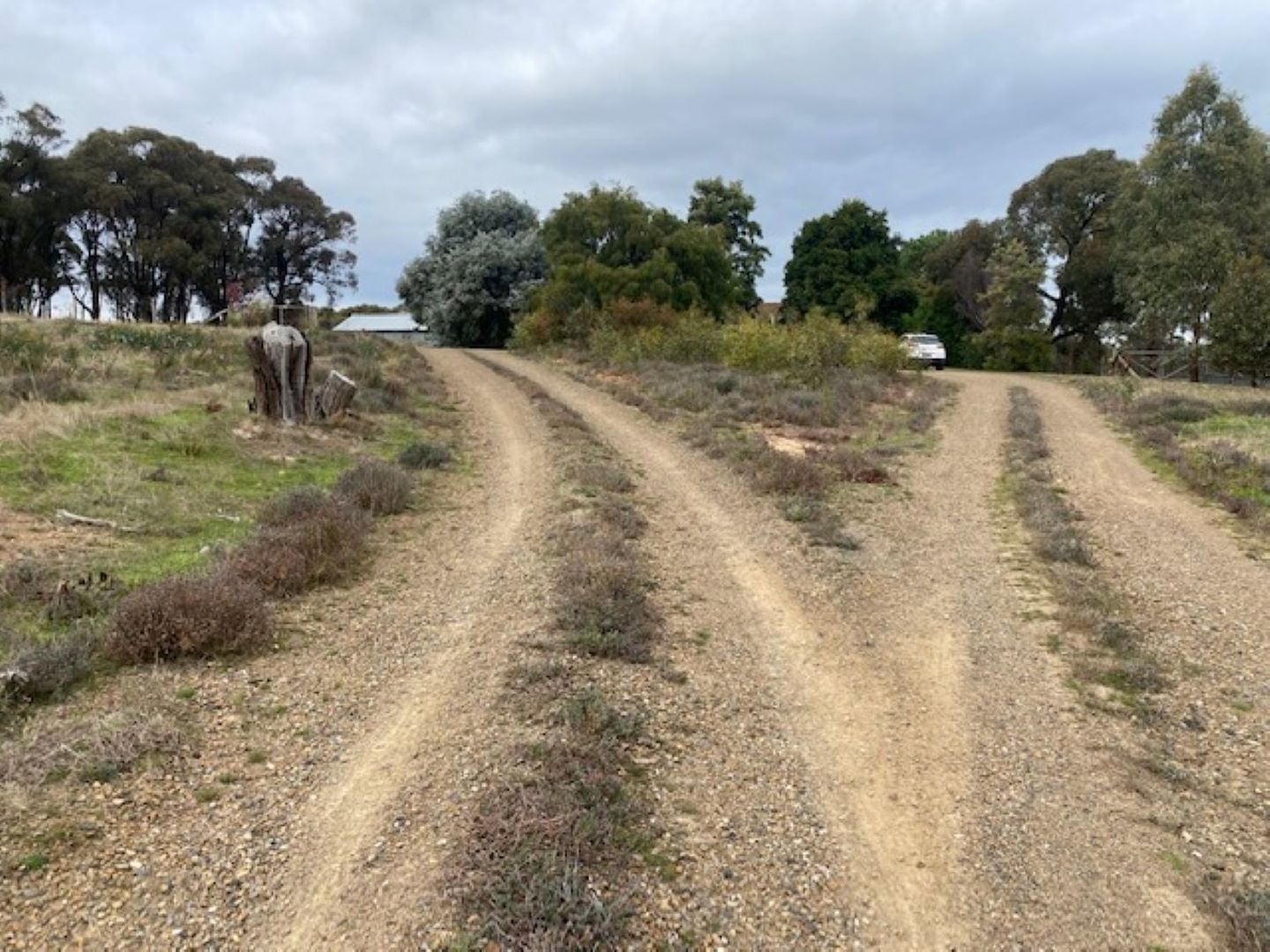 393 Crusoe Road, Lockwood VIC 3551 House For Rent 420 Domain