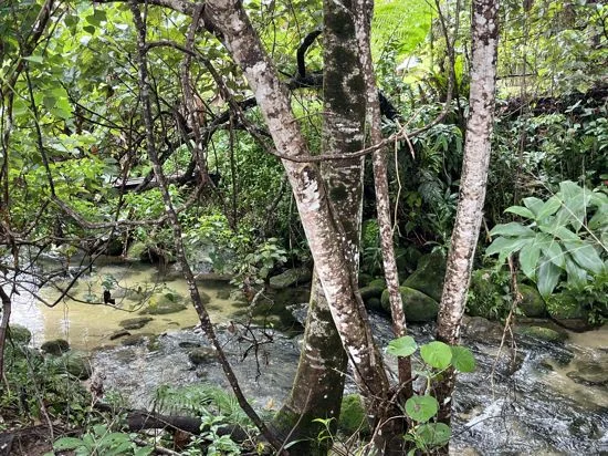 Image 21