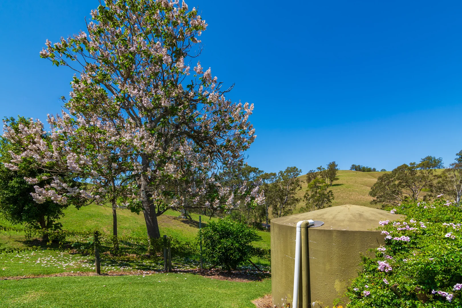 Additional image 43 of 302 Scone Road, Gloucester NSW 2422