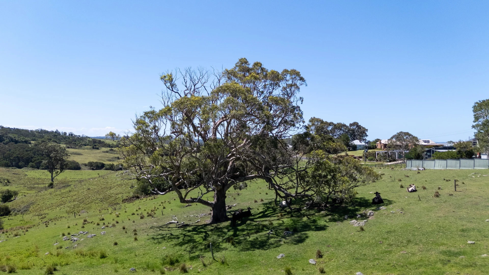 Additional image 19 of Lot 2 Gordon & Graham Street, Milton NSW 2538