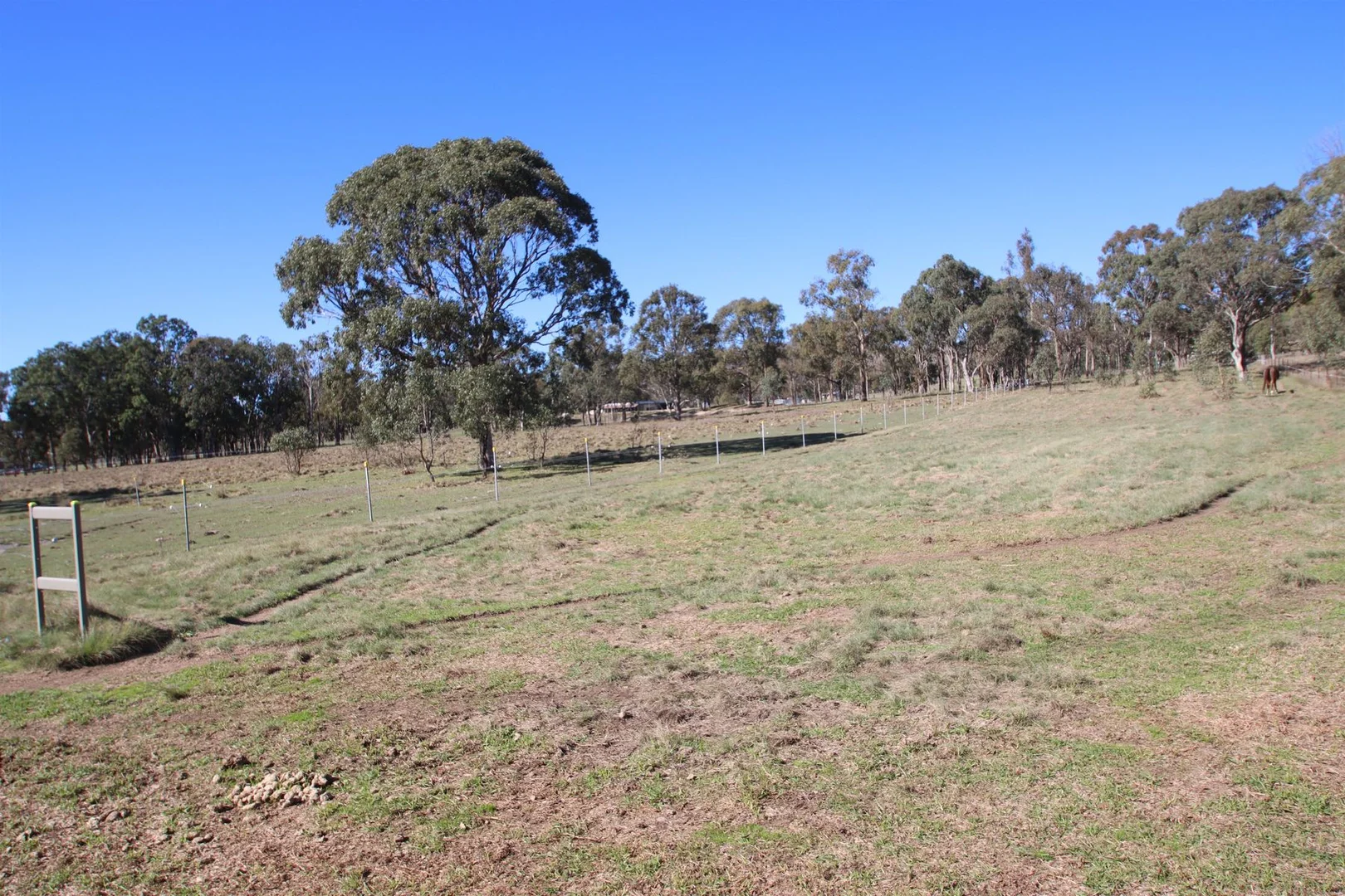 Image 35