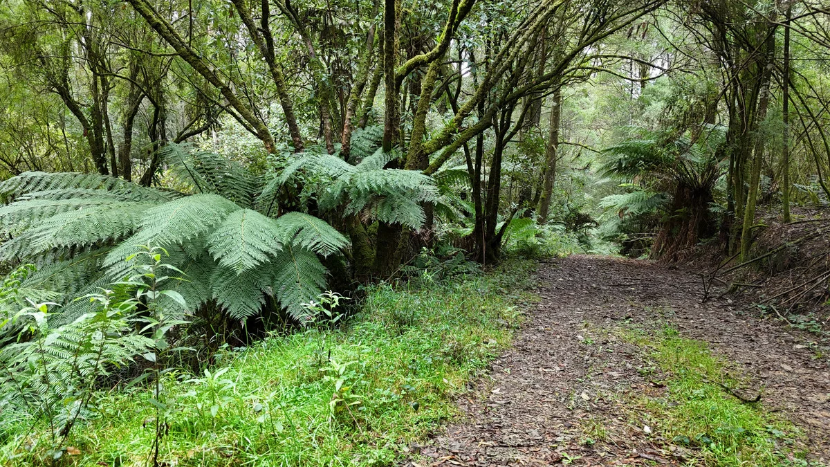 Image 10