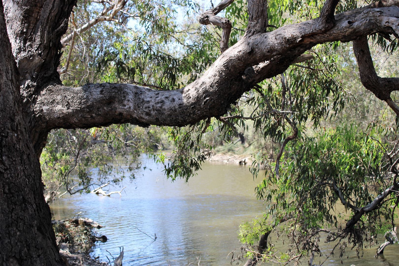 01 Sappers Road and Orange Springs Road Cowalla, Gingin WA 6503, Image 1