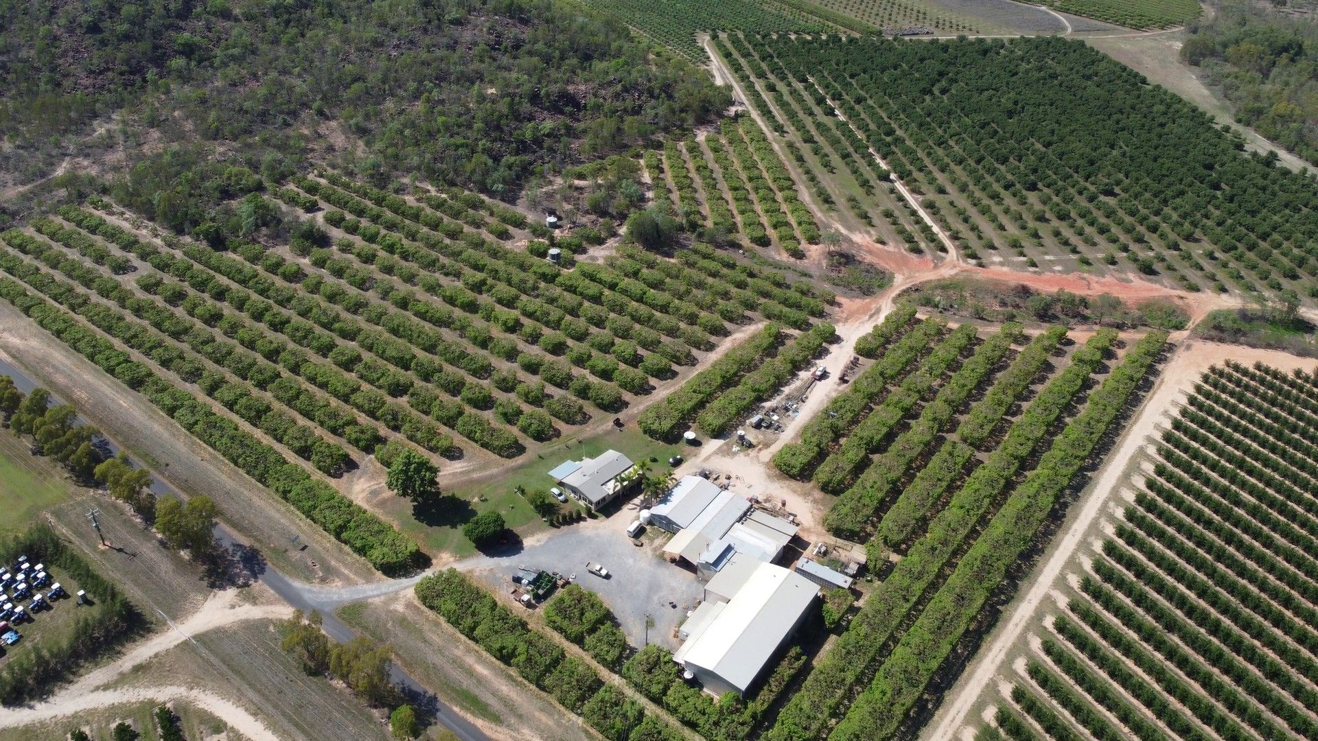 4 bedrooms Rural in 1151 Leafgold Weir Road DIMBULAH QLD, 4872