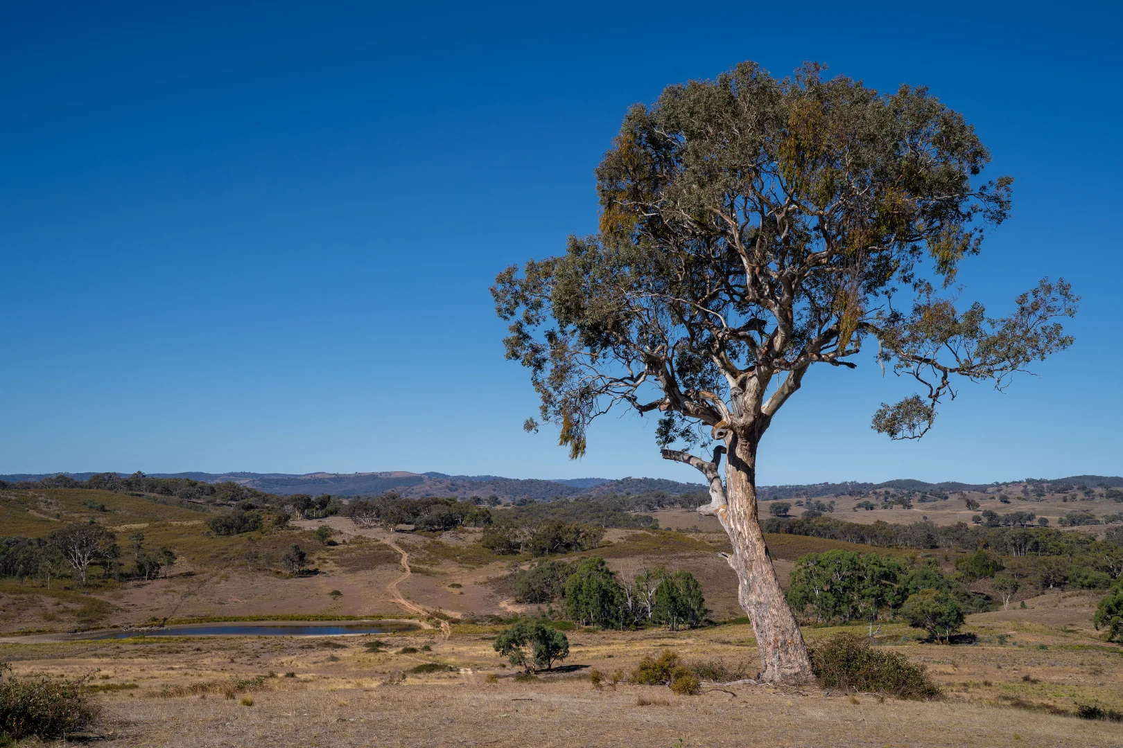 Image 14