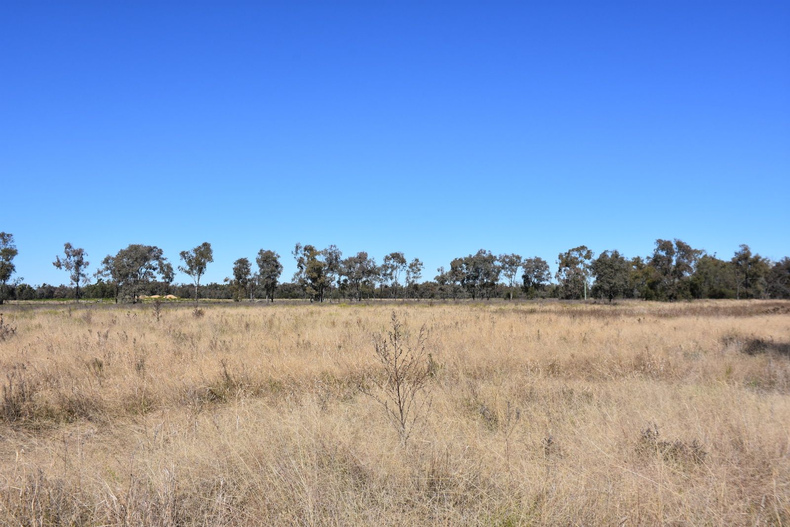 Vacant land in Lot 3 DP1107721 Mallee Road, MOREE NSW, 2400