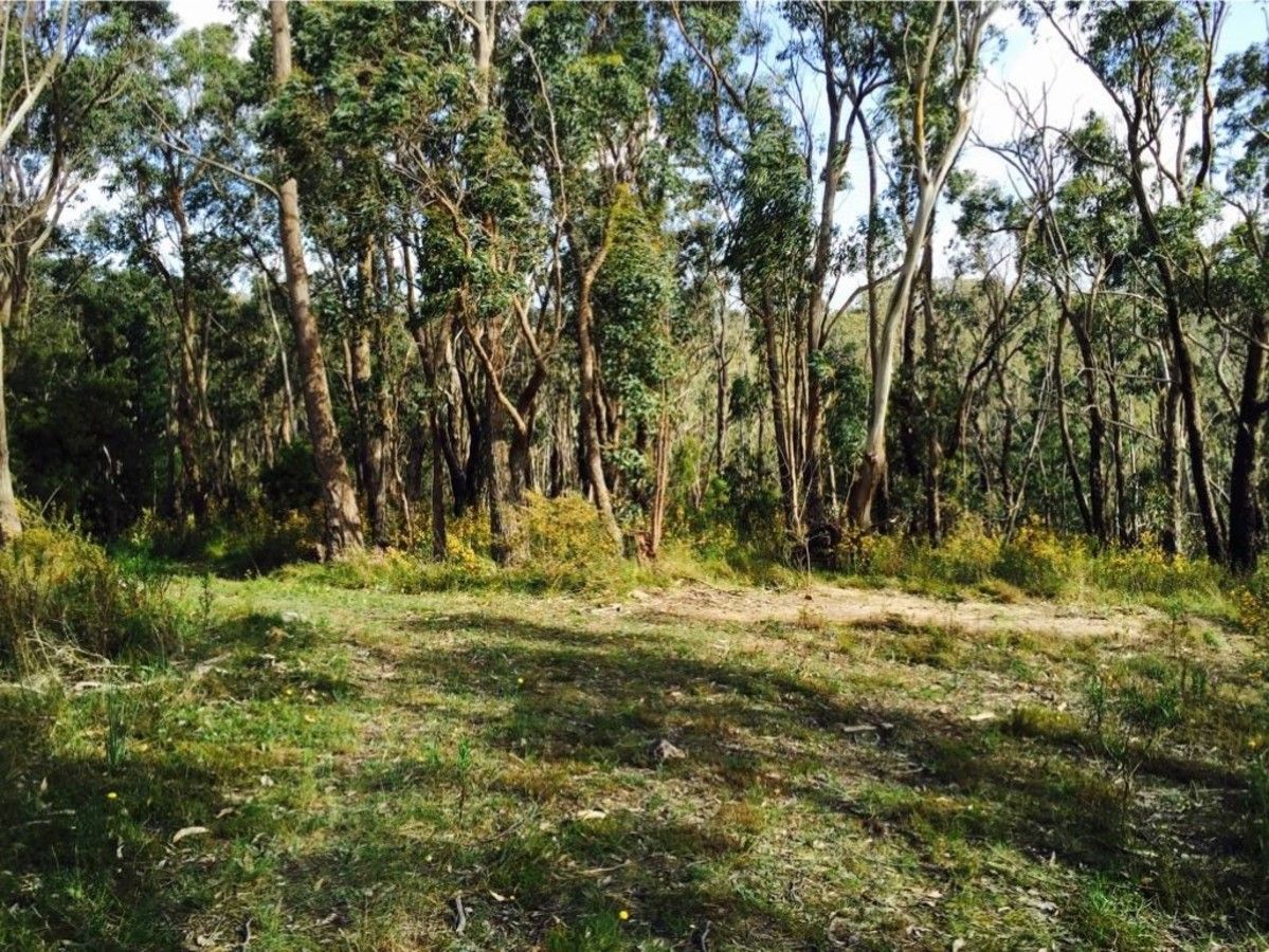 Lot 276 & 277 Mawson Road, Basket Range SA 5138, Image 0