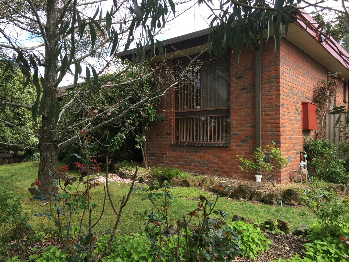 1 Sainsbury Court, Mount Clear VIC 3350, Image 0