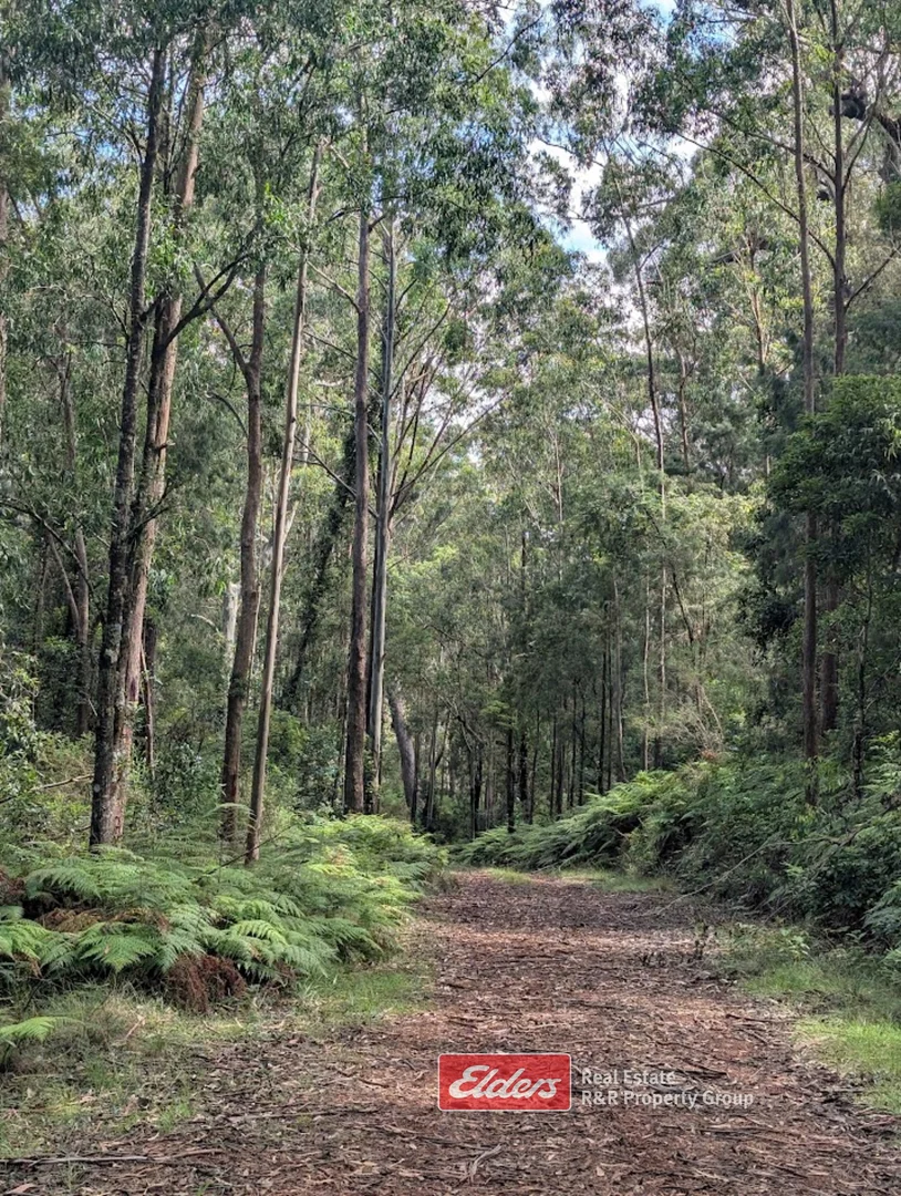 Additional image 8 of 59 Curricabark Road, Dewitt via, Gloucester NSW 2422