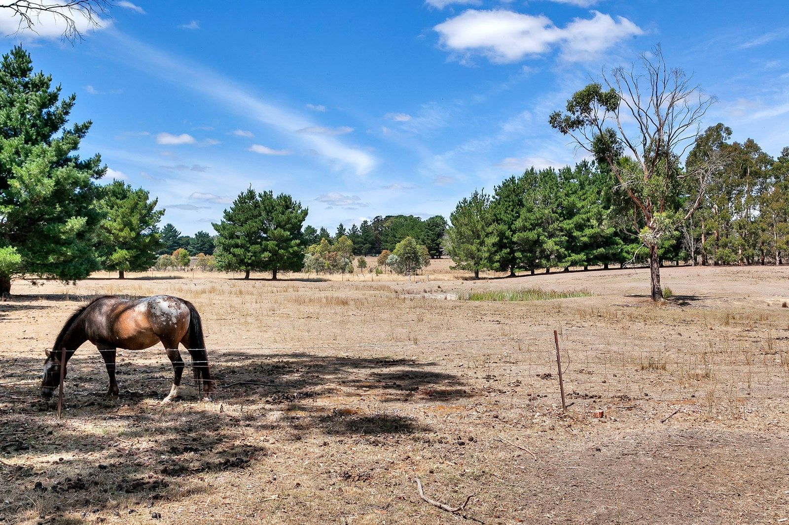 4030 Colac Ballarat Road, Enfield VIC 3352, Image 2