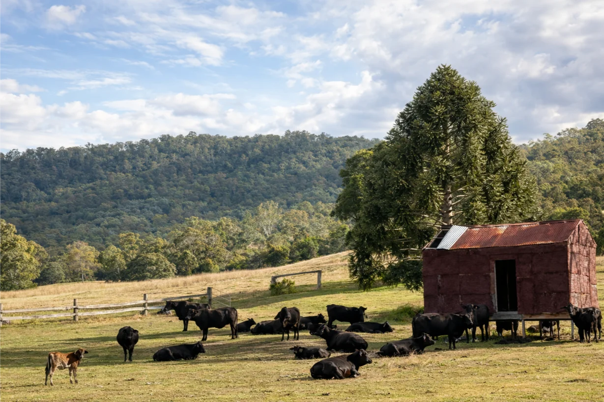 Additional image 18 of 376 Lagoon Creek Road, West Haldon QLD 4359