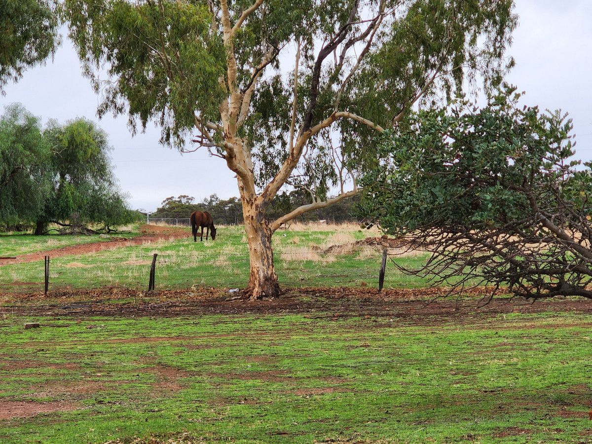 32 Second Road Bejoording, Toodyay WA 6566, Image 1