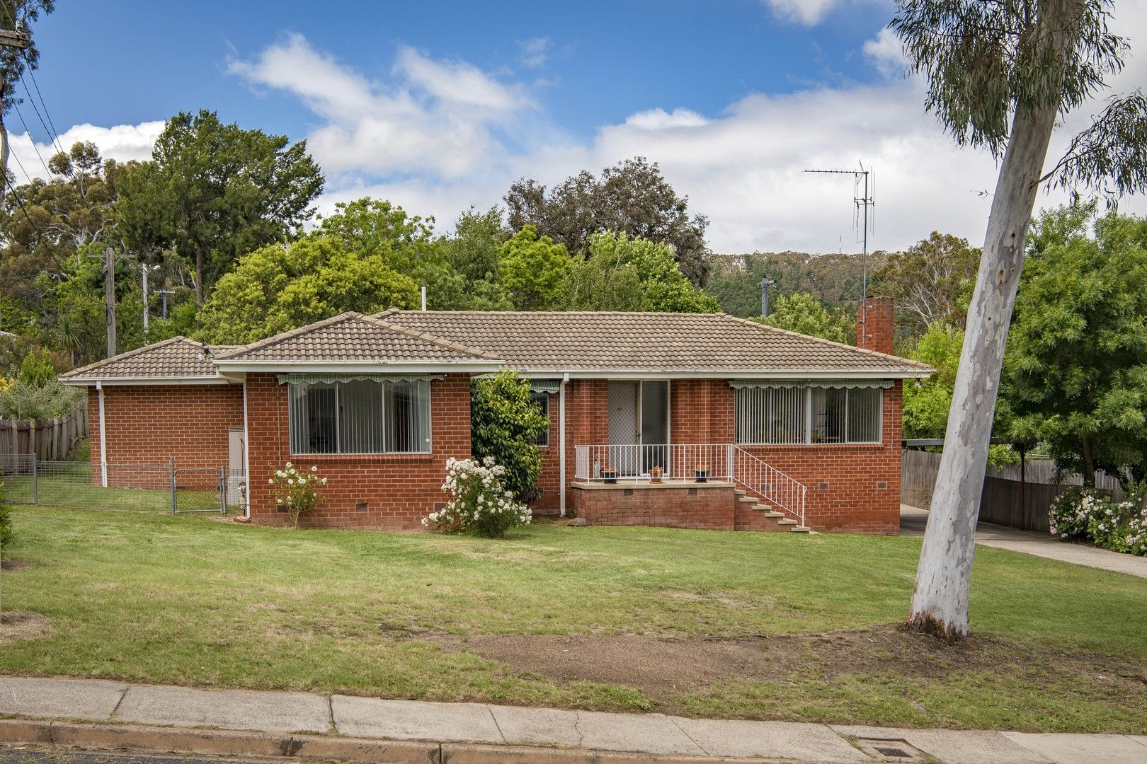 4 bedrooms House in 4 Pasco Street MAWSON ACT, 2607