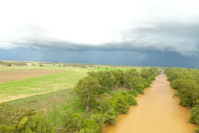 Picture of 2021 GINEROI ROAD, WARIALDA RAIL NSW 2402