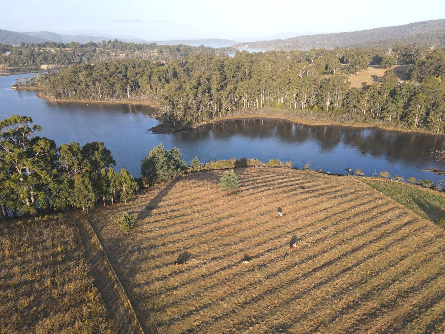 Lot 2, Narrows Road, Strathblane TAS 7109 Vacant Land for Sale