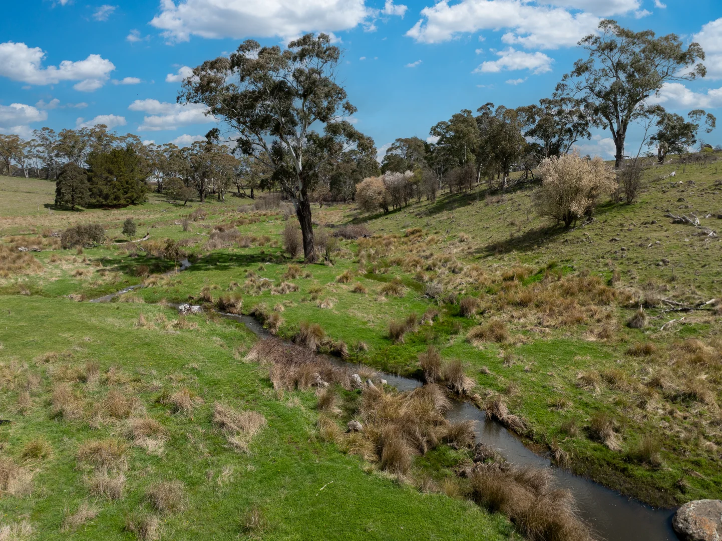 Additional image 5 of 584 Huntley Road, Huntley NSW 2800