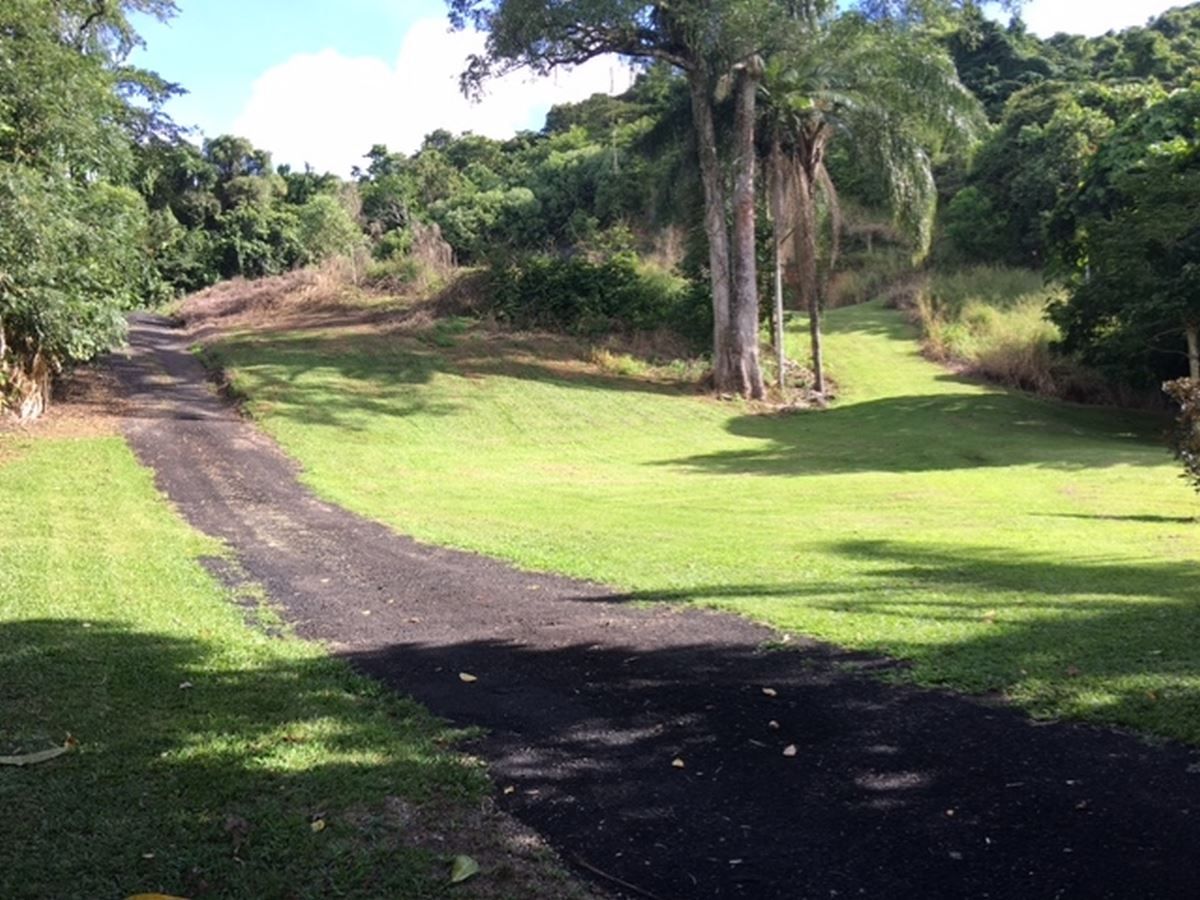 Lot 6 Parry Street, Babinda QLD 4861, Image 1