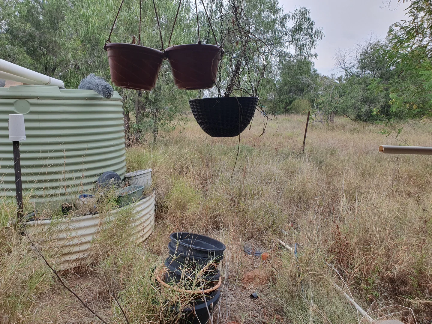 Additional image 19 of 12 Petworth Street, Angledool NSW 2834