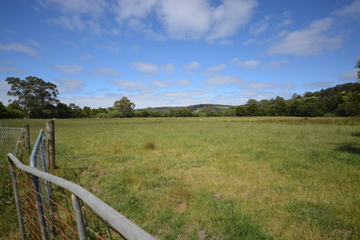 Lavers Hill - Cobden Rd, Chapple Vale VIC 3239, Image 0