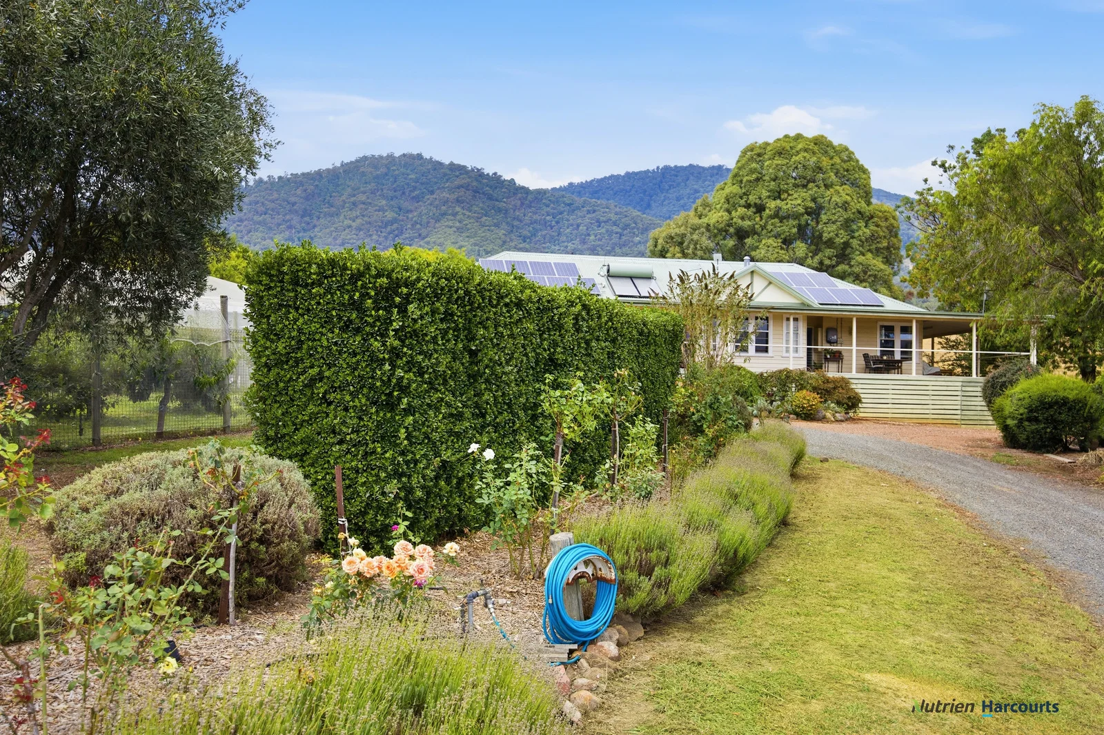 Additional image 17 of 318 Rubicon Road, Rubicon VIC 3712