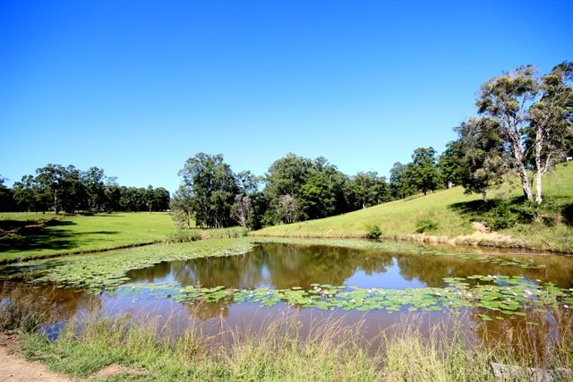 115 West Frazers Creek Road, Frazers Creek NSW 2446, Image 0