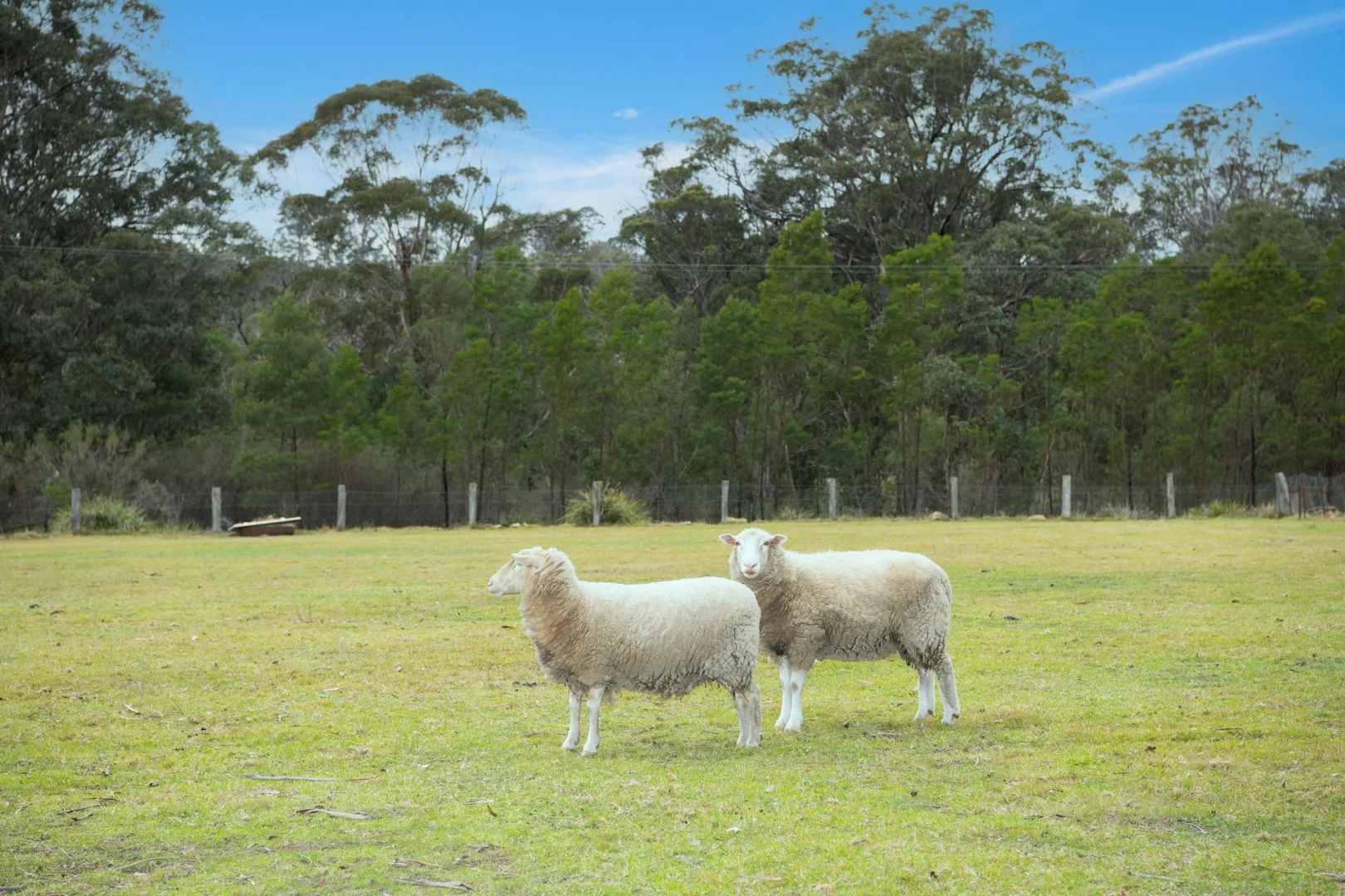 Image 14
