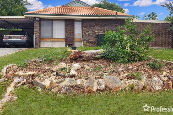 Picture of 177 Camberwarra Drive, CRAIGIE WA 6025