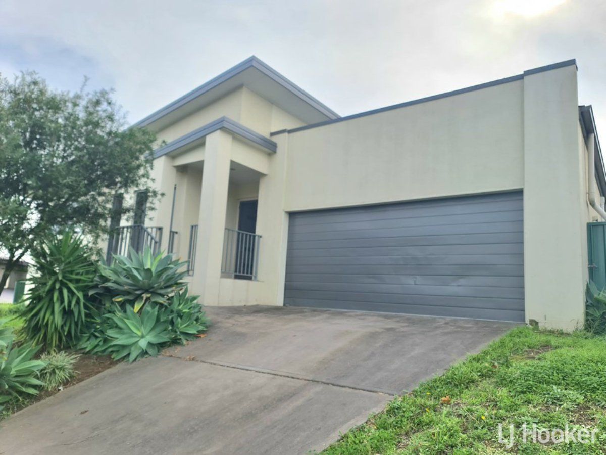 4 bedrooms House in 16 Wattle Street MUSWELLBROOK NSW, 2333