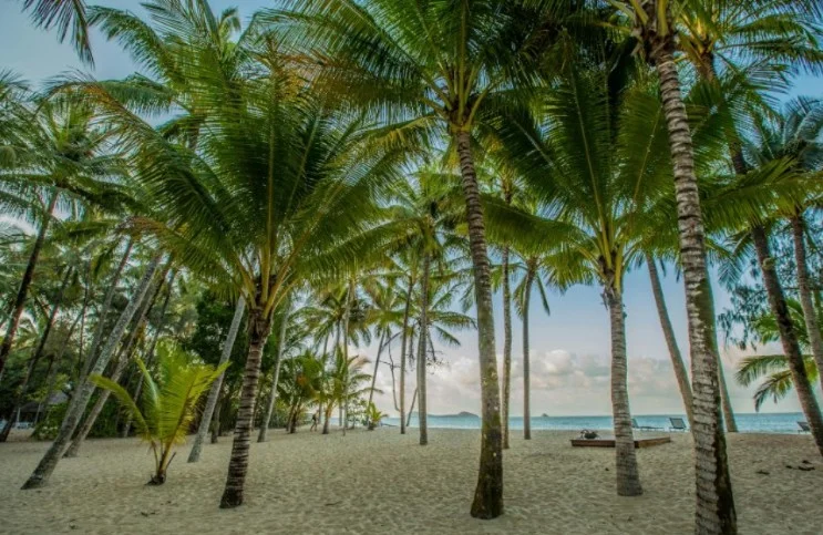 Additional image 20 of 4 Etty Street, Kewarra Beach QLD 4879