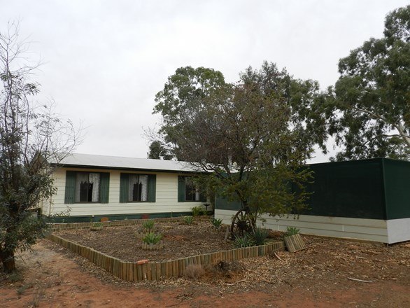 40 Wilkinson Road, Loveday SA 5345