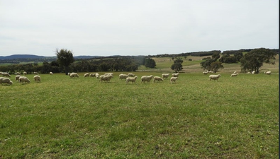 Picture of 94 Kangaloolah Road, CROOKWELL NSW 2583