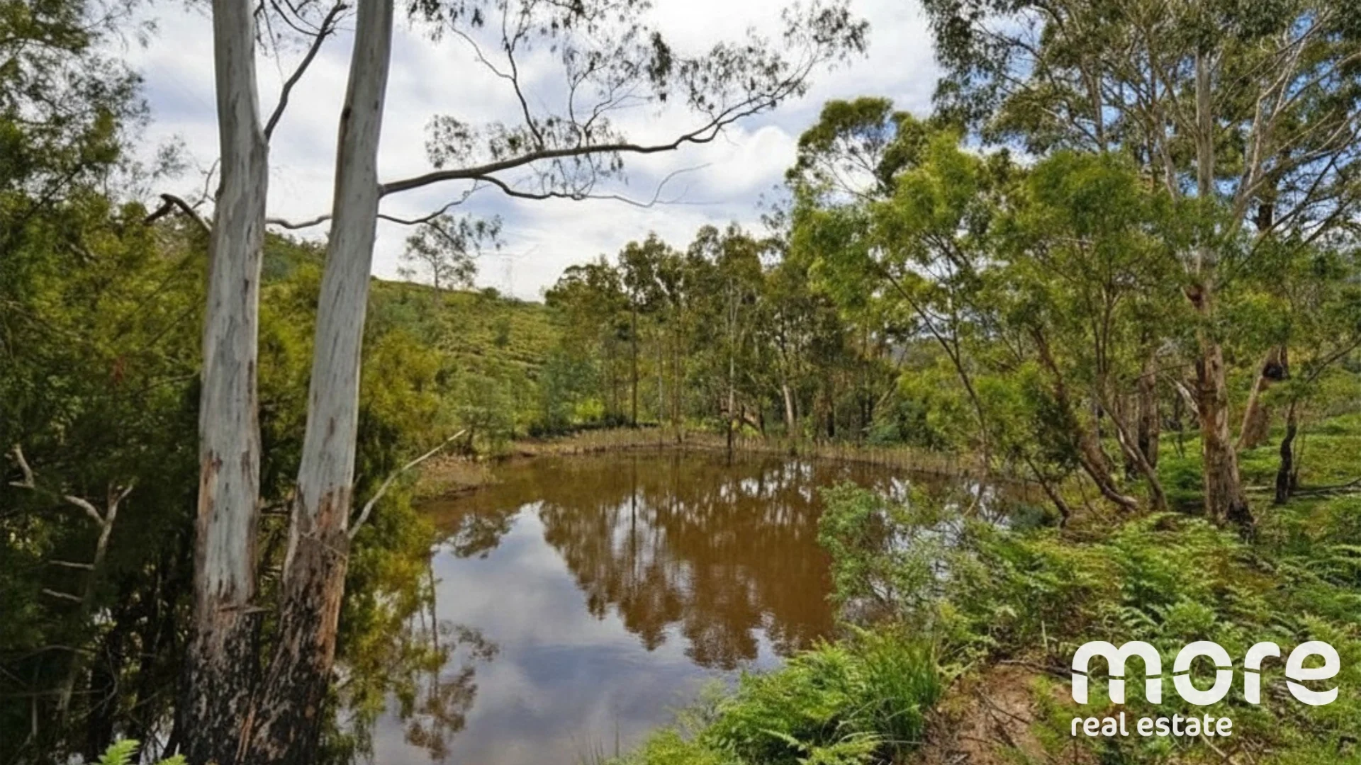 Additional image 8 of 490 Molesworth Road, Molesworth TAS 7140