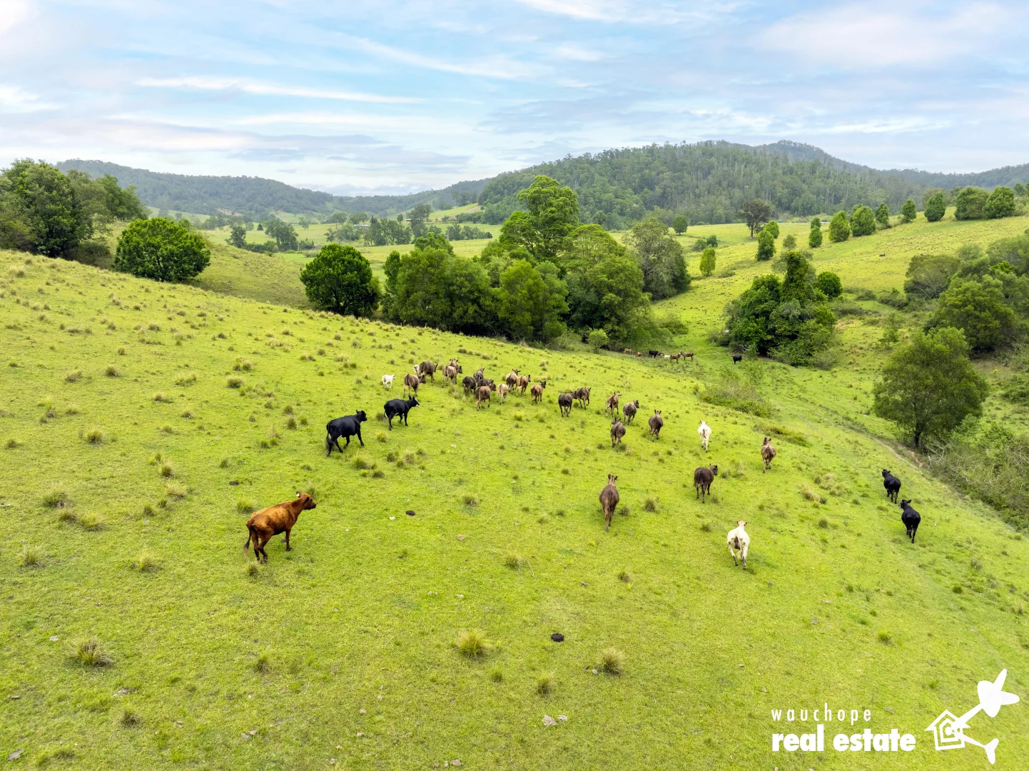 Additional image 27 of 1024 Pappinbarra Road, Pappinbarra NSW 2446